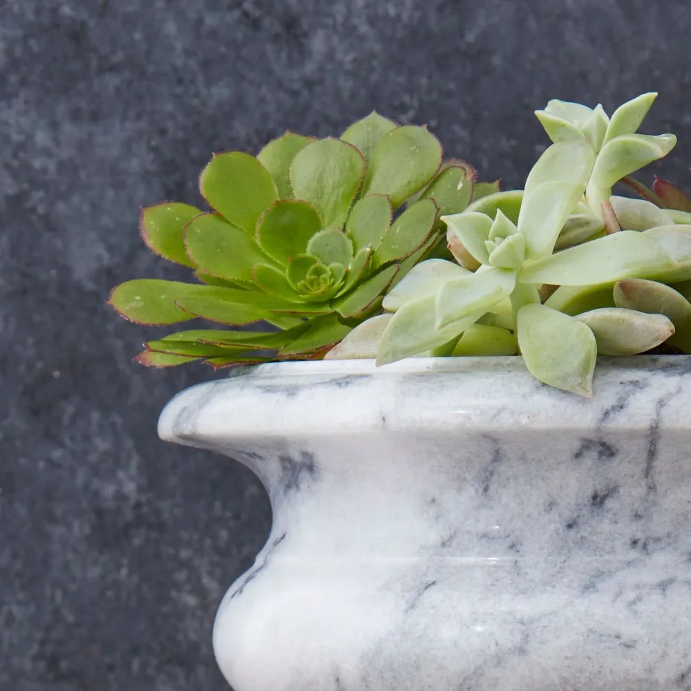 Gray Marble Succulent Planter Urn