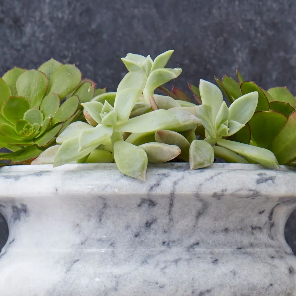 Gray Marble Succulent Planter Urn