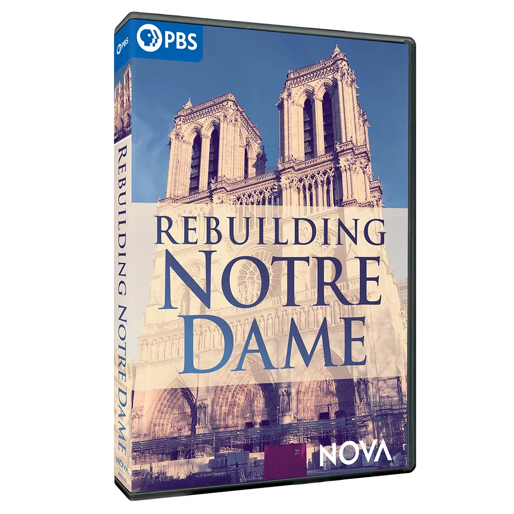 Rebuilding Notre Dame